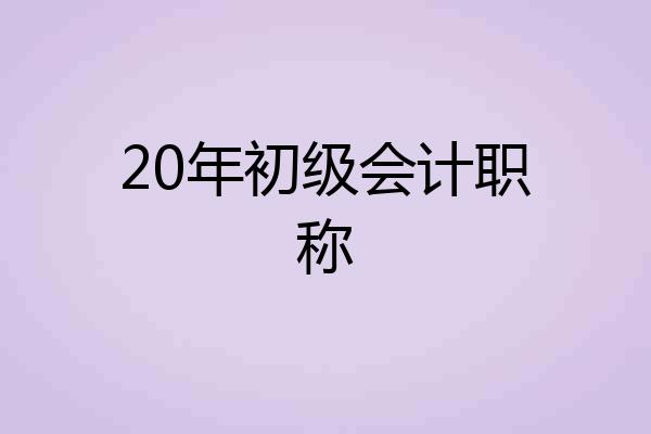 20年初级会计职称