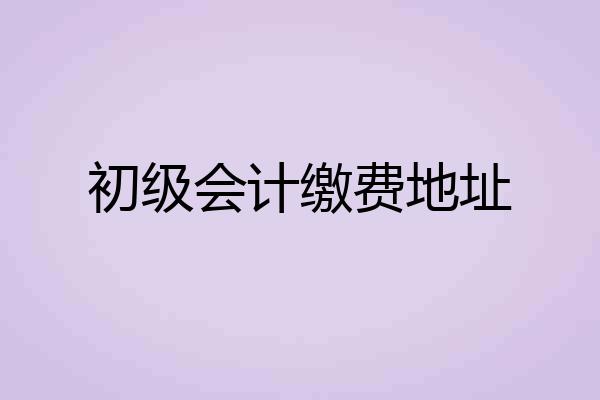 初级会计缴费地址