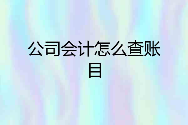 公司会计怎么查账目