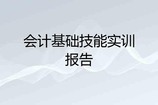 会计基础技能实训报告