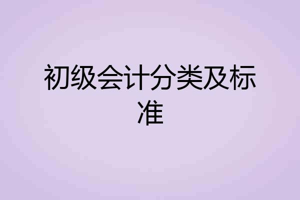 初级会计分类及标准