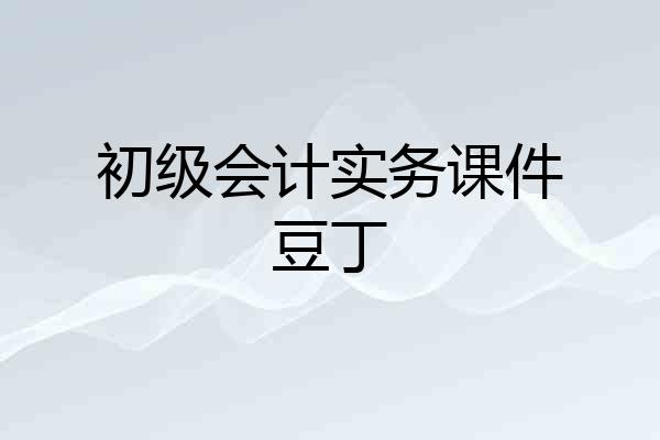 初级会计实务课件豆丁