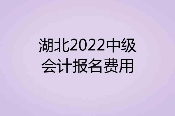 湖北2022中级会计报名费用