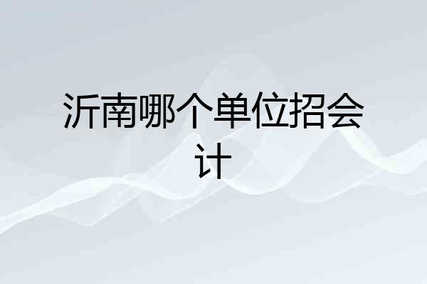 沂南哪个单位招会计