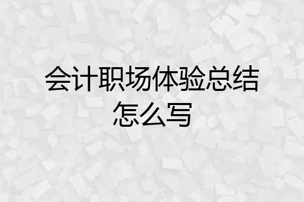 会计职场体验总结怎么写