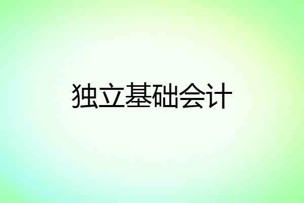 独立基础会计
