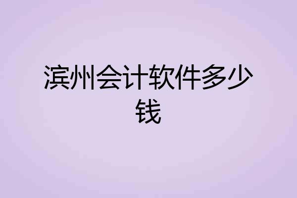 滨州会计软件多少钱