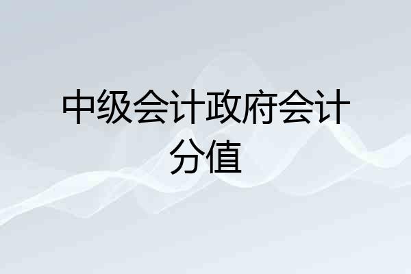 中级会计政府会计分值