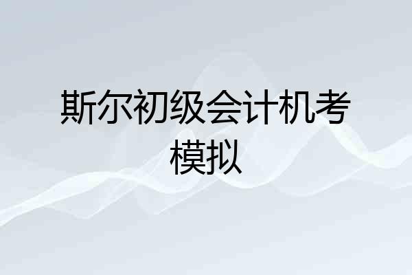 斯尔初级会计机考模拟