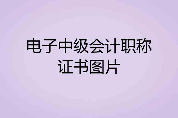 电子中级会计职称证书图片