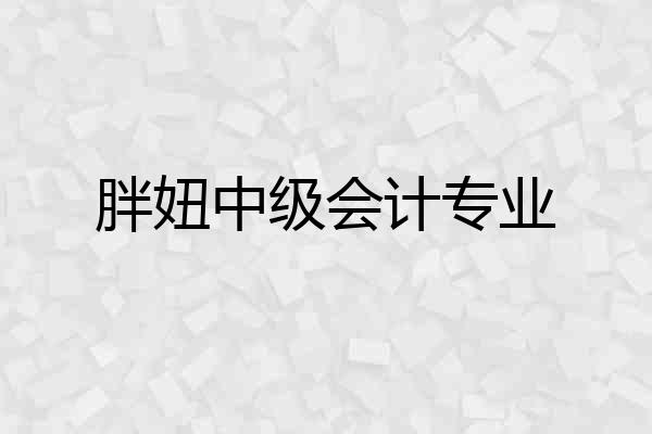 胖妞中级会计专业