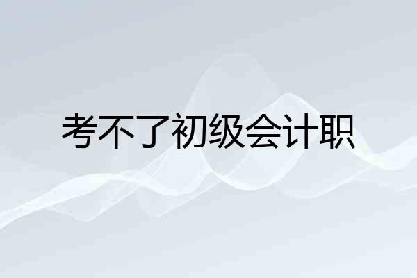 考不了初级会计职