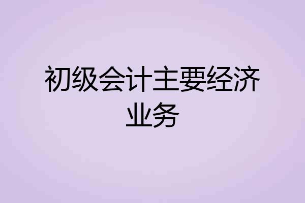 初级会计主要经济业务
