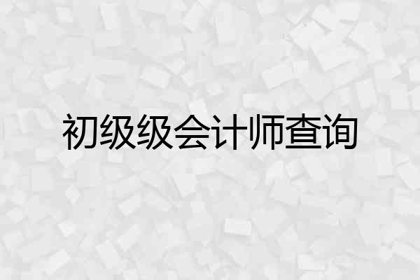 初级级会计师查询