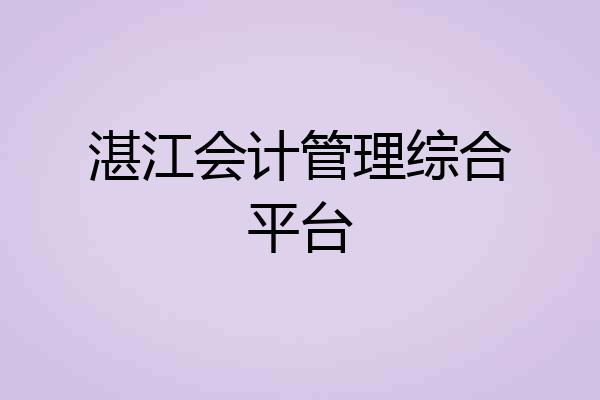 湛江会计管理综合平台