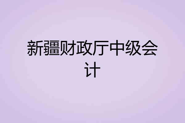 新疆财政厅中级会计