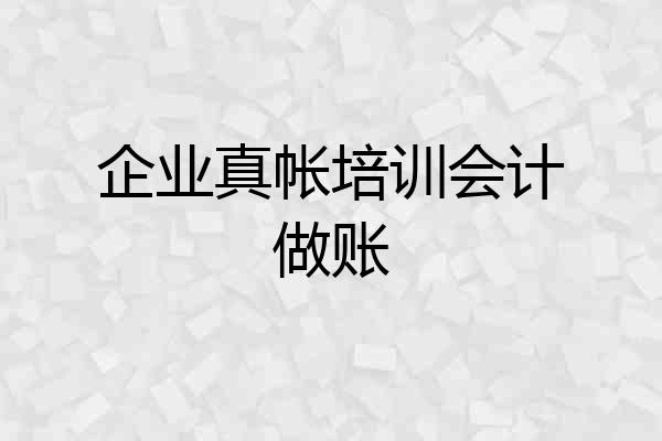 企业真帐培训会计做账