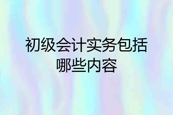 初级会计实务包括哪些内容