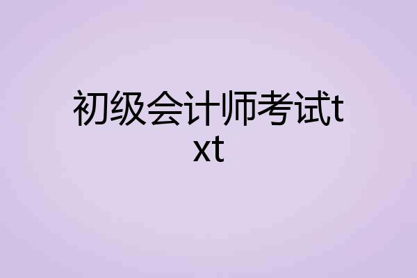 初级会计师考试txt