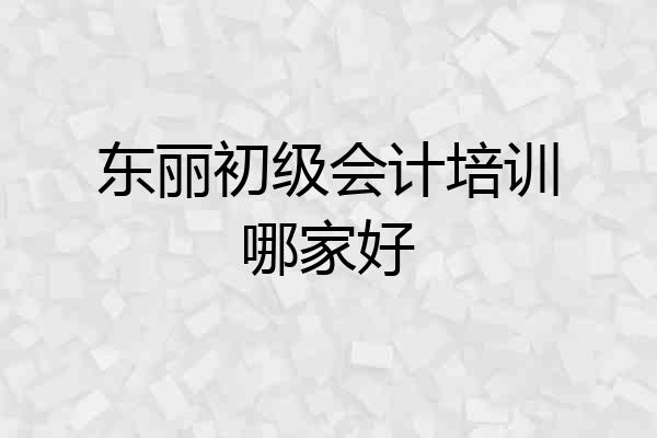 东丽初级会计培训哪家好