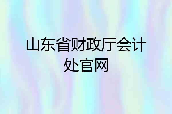 山东省财政厅会计处官网
