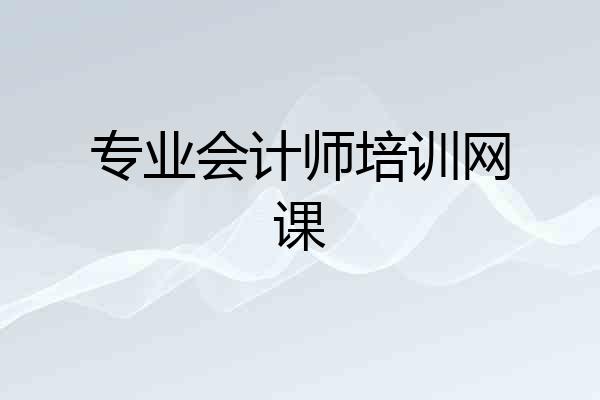 专业会计师培训网课