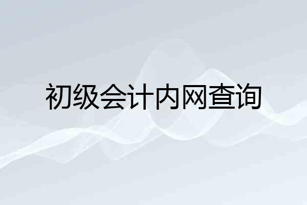 初级会计内网查询