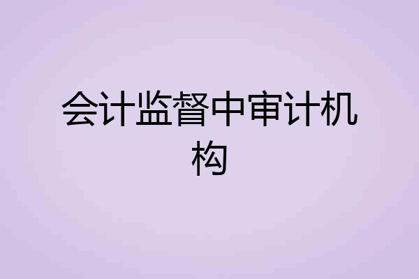 会计监督中审计机构