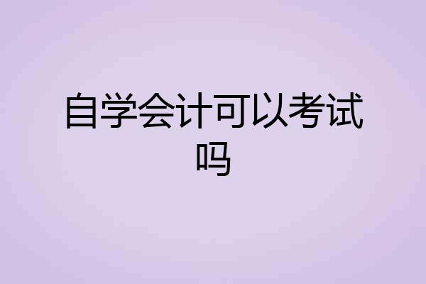 自学会计可以考试吗
