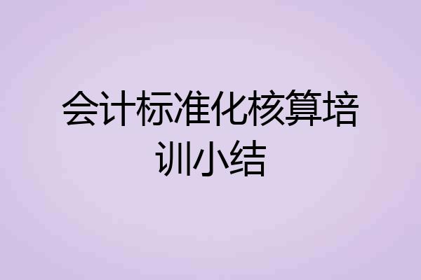 会计标准化核算培训小结