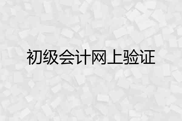 初级会计网上验证