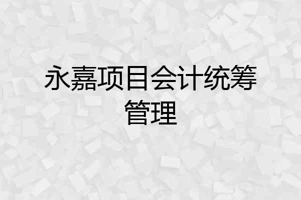 永嘉项目会计统筹管理