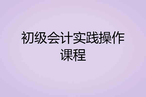 初级会计实践操作课程