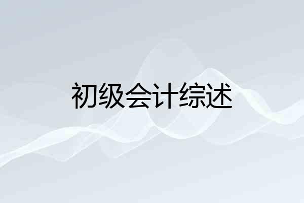 初级会计综述