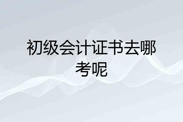 初级会计证书去哪考呢