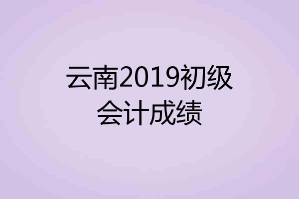 云南2019初级会计成绩