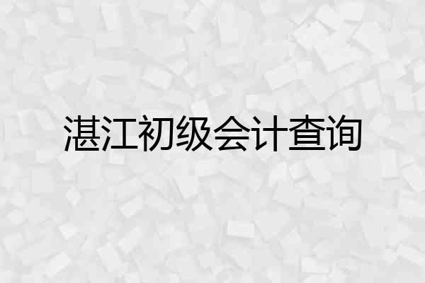 湛江初级会计查询