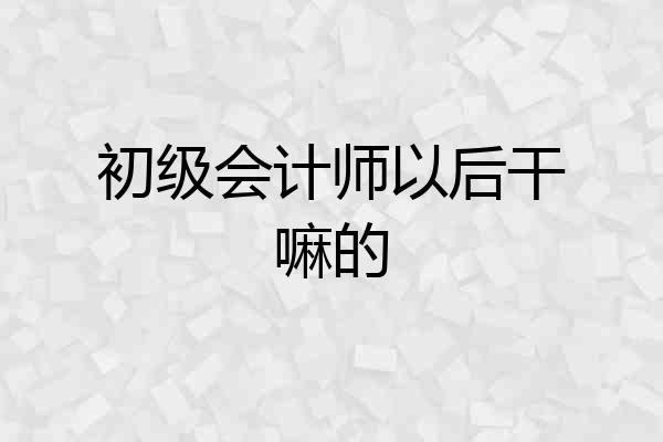 初级会计师以后干嘛的