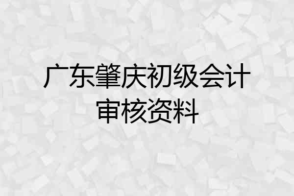 广东肇庆初级会计审核资料