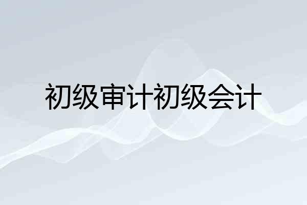 初级审计初级会计