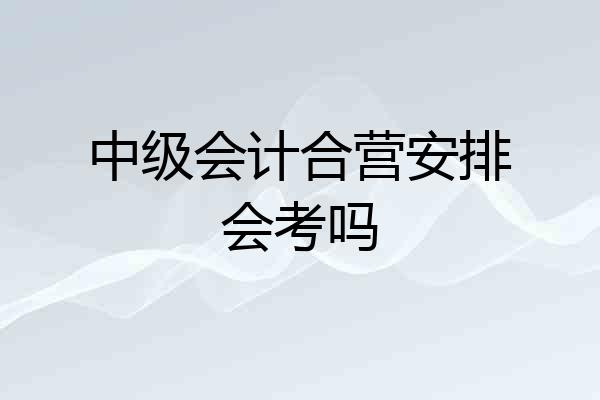中级会计合营安排会考吗