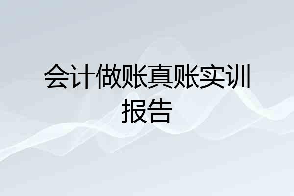 会计做账真账实训报告