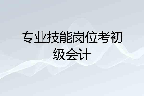 专业技能岗位考初级会计