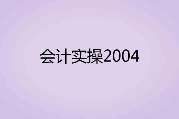 会计实操2004