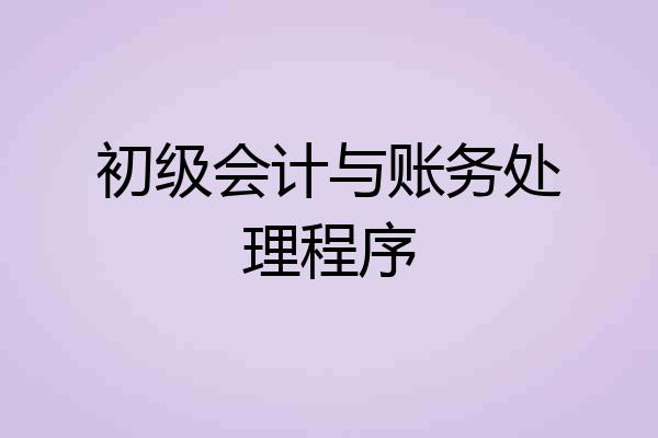 初级会计与账务处理程序
