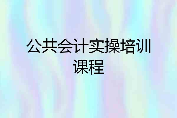 公共会计实操培训课程