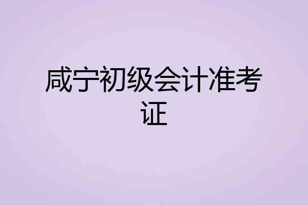 咸宁初级会计准考证