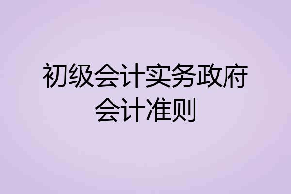初级会计实务政府会计准则