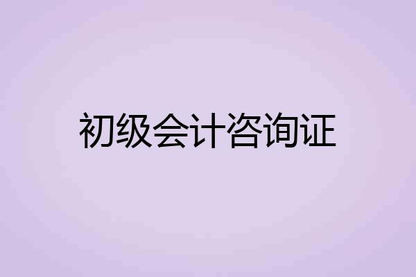初级会计咨询证