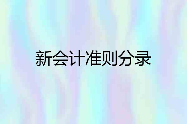新会计准则分录